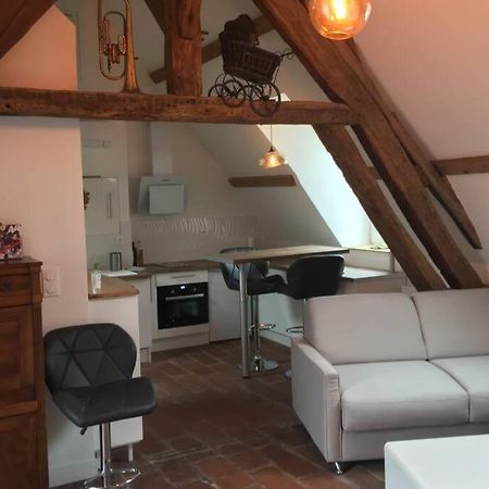 Apartmán La Terrasse Du Chevalier D'Eon - Loft A Tonnerre Exteriér fotografie